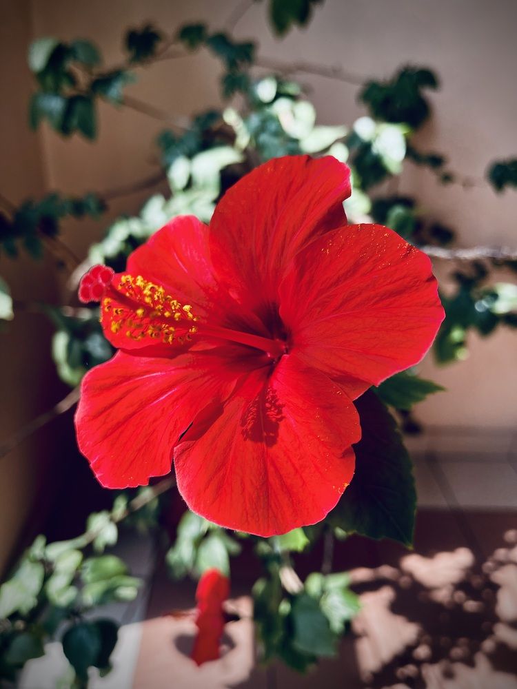 Фотография автора Елизавета Стороженко