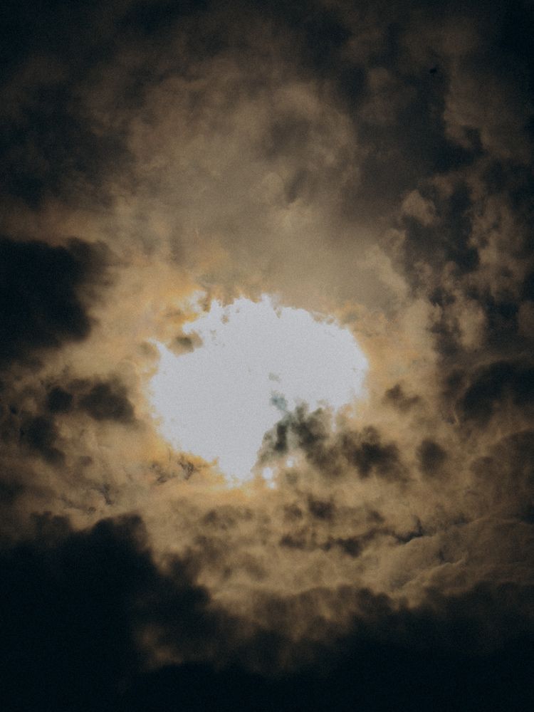 Photograph by Алёна Горошко