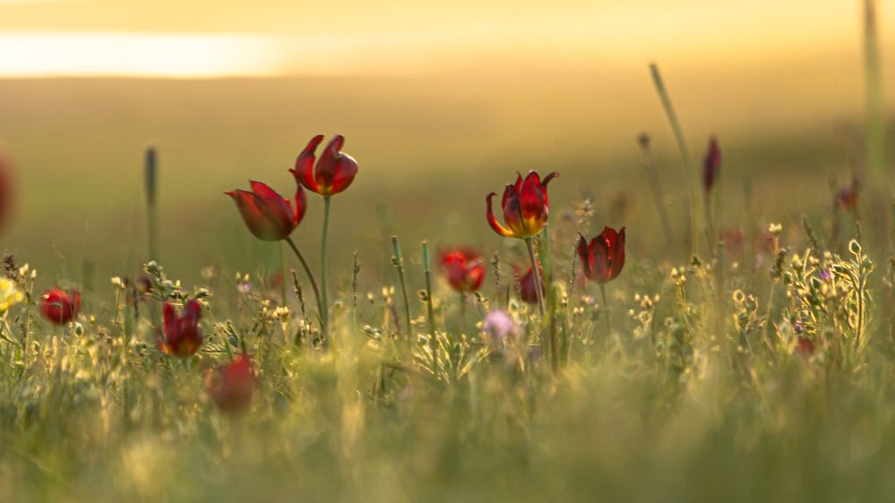 Фотография автора Александр Довганюк