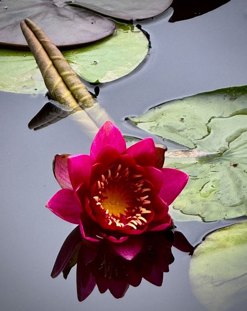 Фотография автора Evgeniya Ivanova