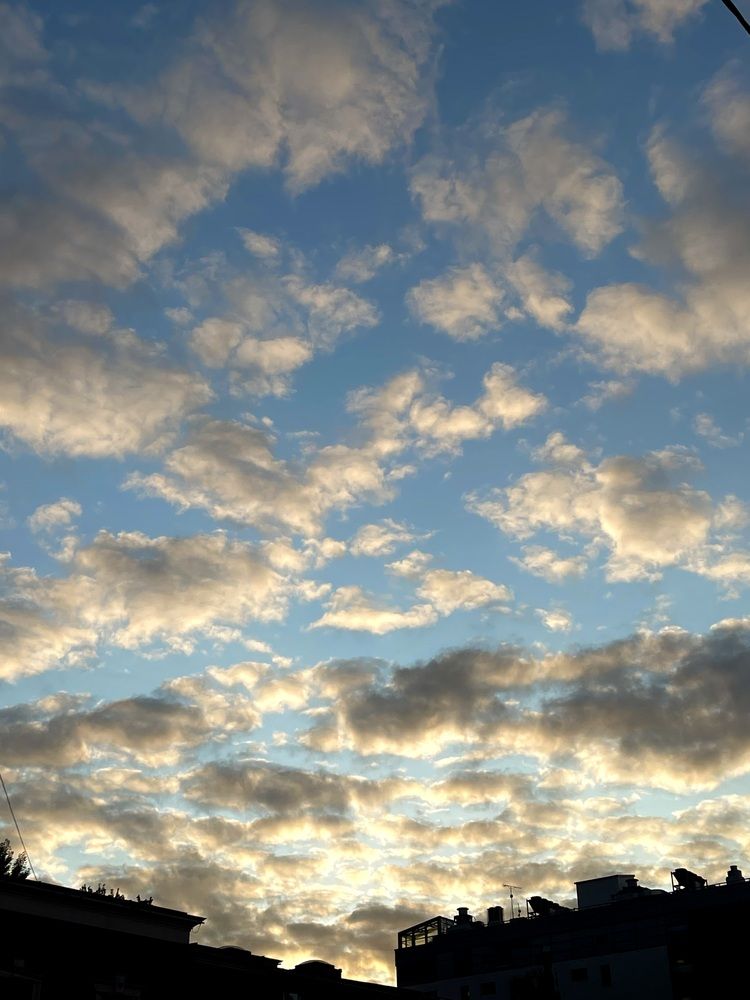 Фотография автора Елизавета Стороженко