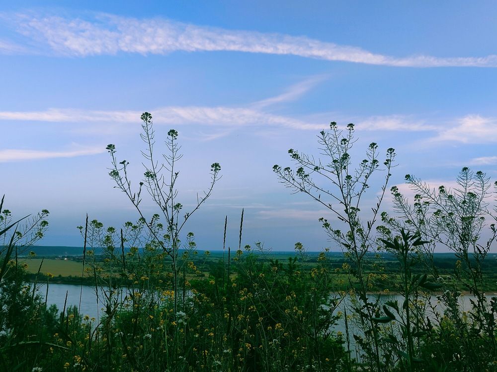 Photograph by Татьяна Гулакова