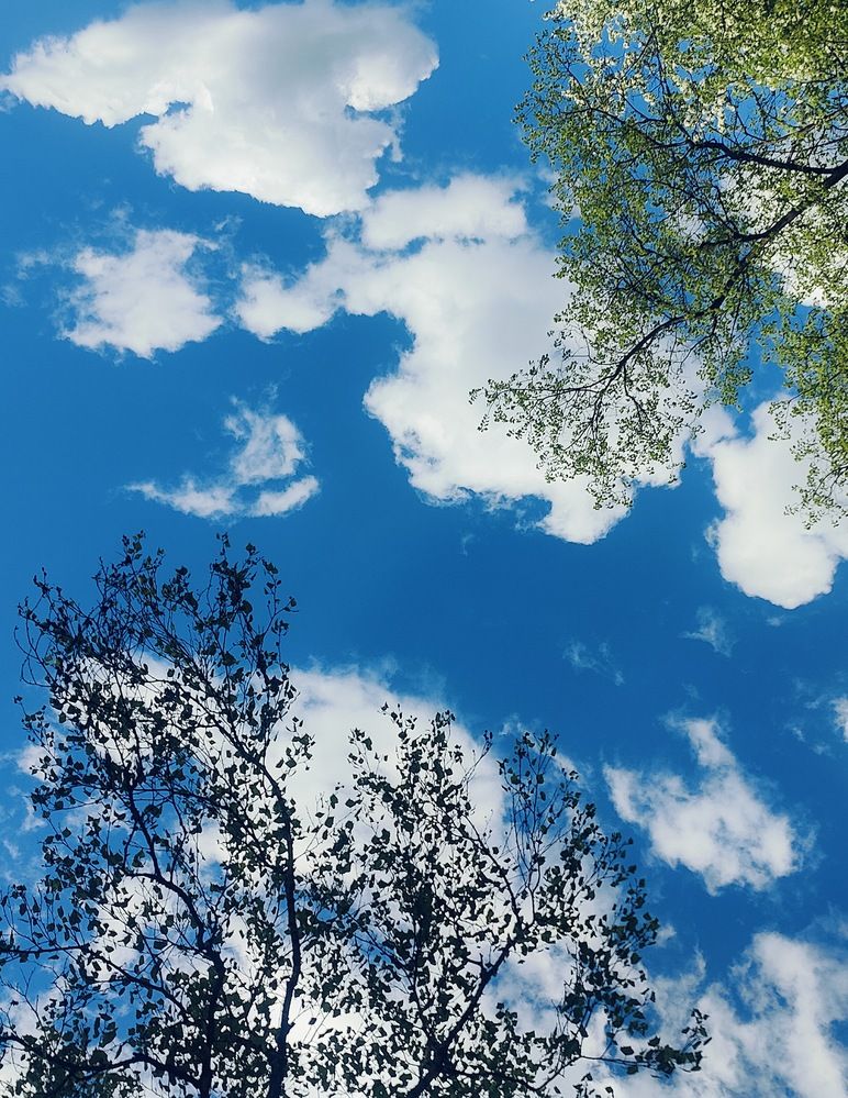 Photograph by Татьяна Гулакова