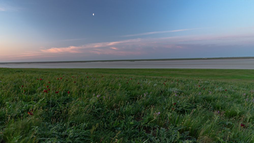 Фотография автора Александр Довганюк