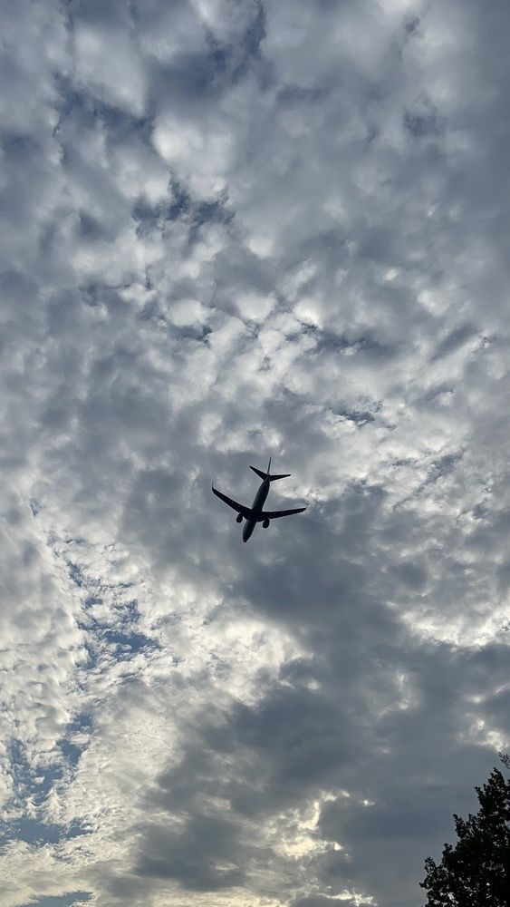 Фотография автора Елизавета Стороженко