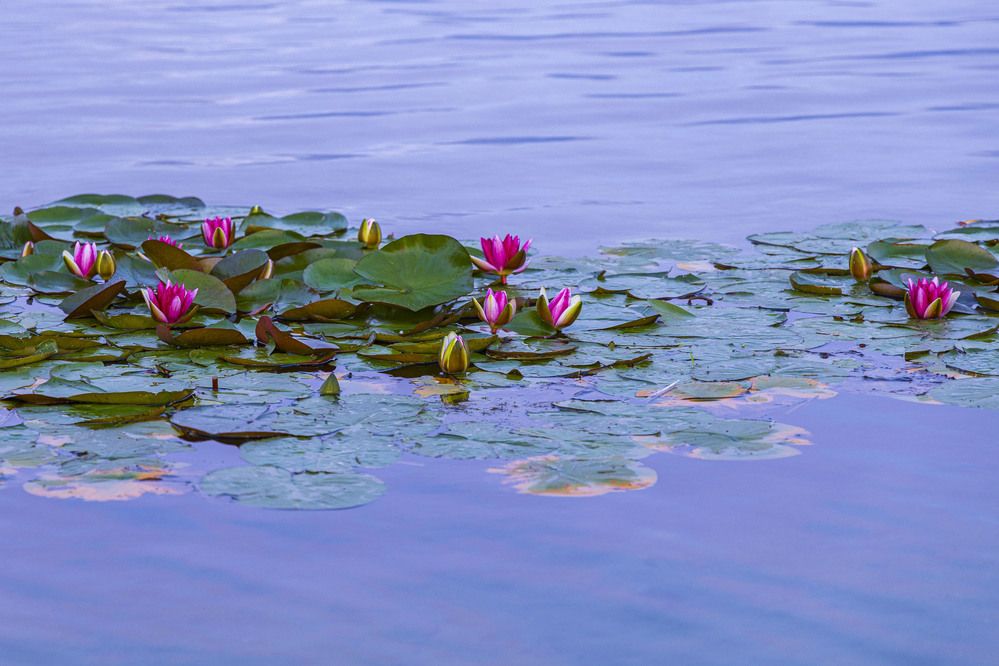Фотография автора Вадим Копилец