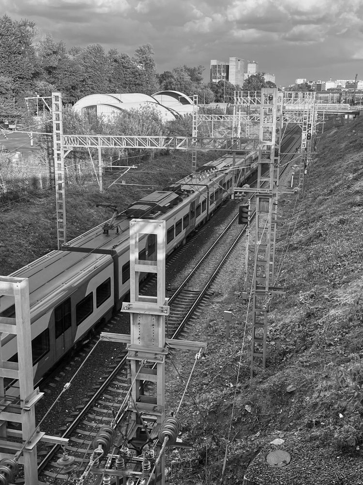 Фотография автора Елизавета Стороженко