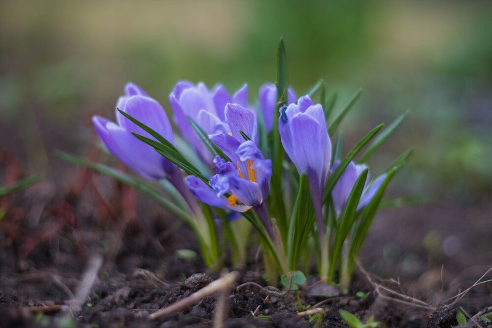 Photograph by Kirill Yakowlew