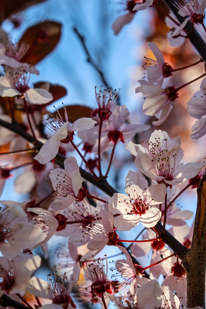 Photograph by Вера Печеник