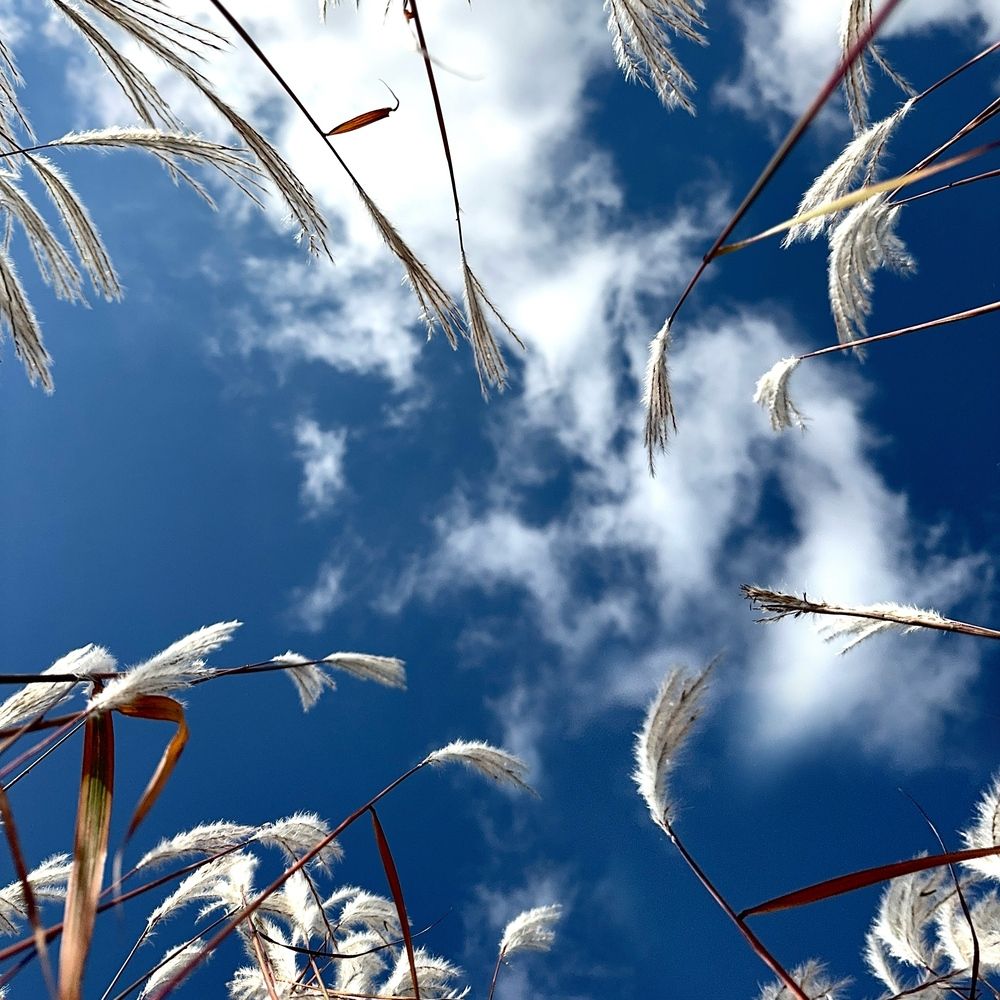 Photograph by Дина Желанова