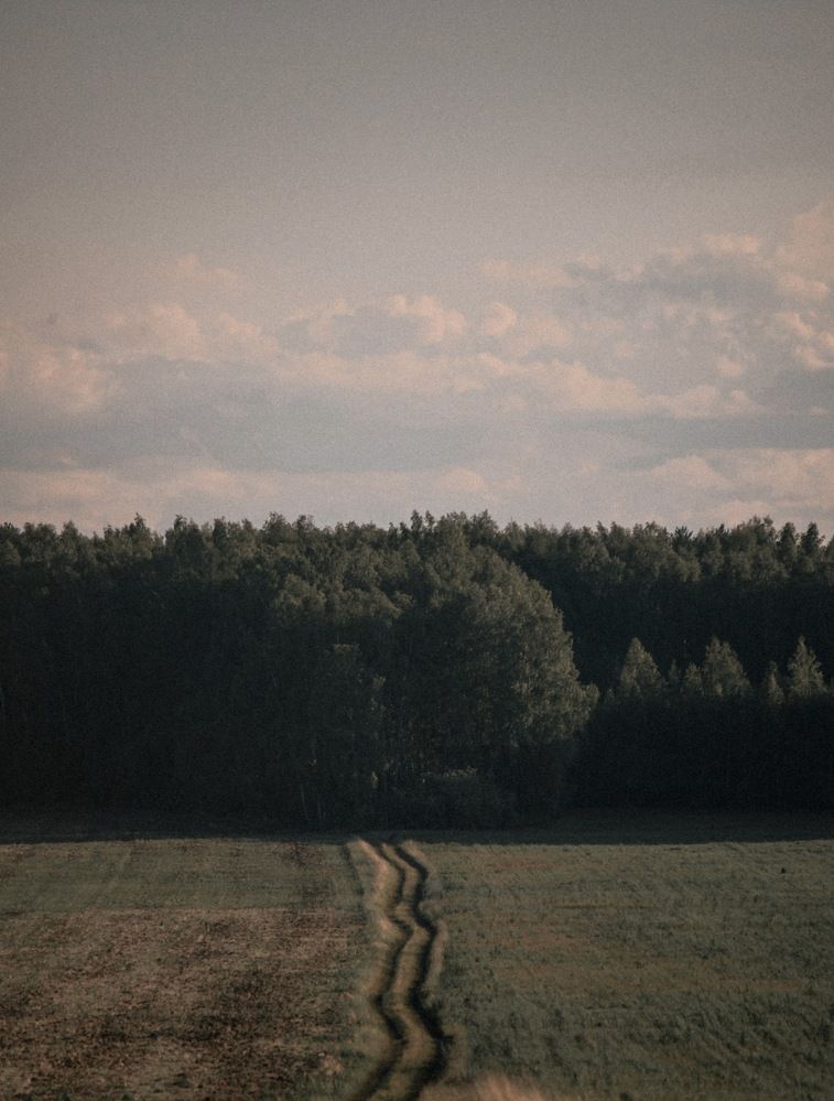 Photograph by Olivka Ulyanova