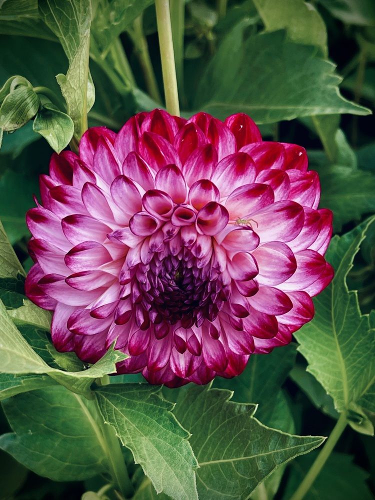 Фотография автора Елизавета Стороженко