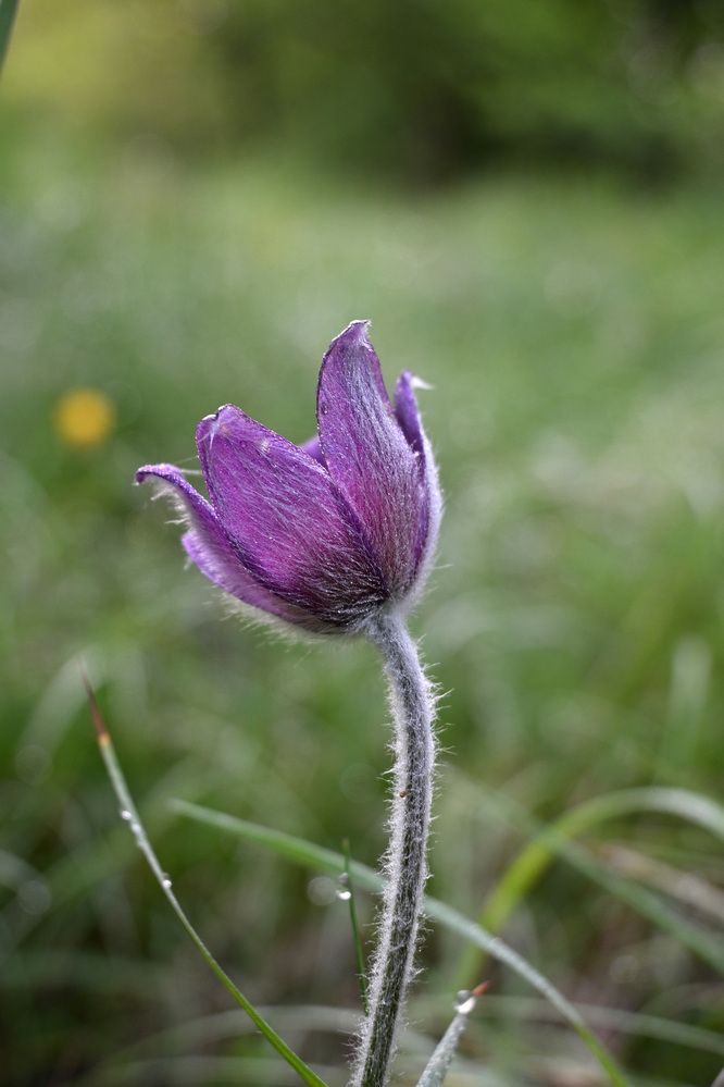 Photograph by MariaVittoria Amoruso