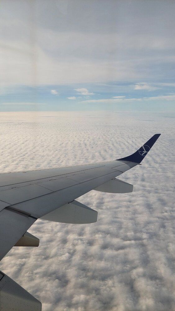 Photograph by Svitlana Usatenko