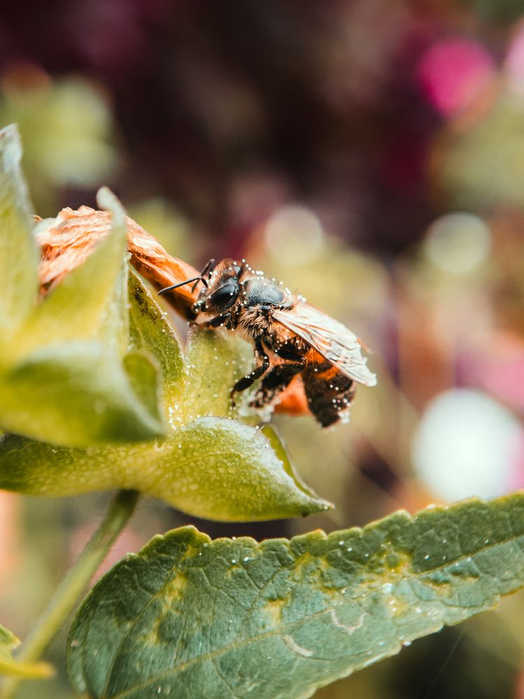 Photograph by Алёна Горошко