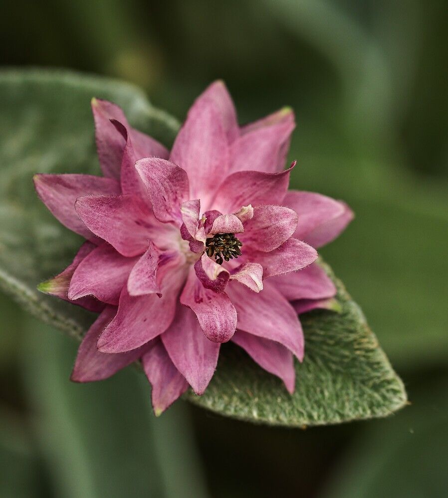 Photograph by Елена Одынец