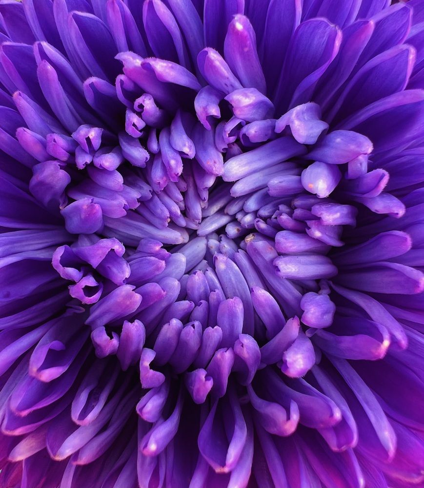 Фотография автора Наталья Филиппова