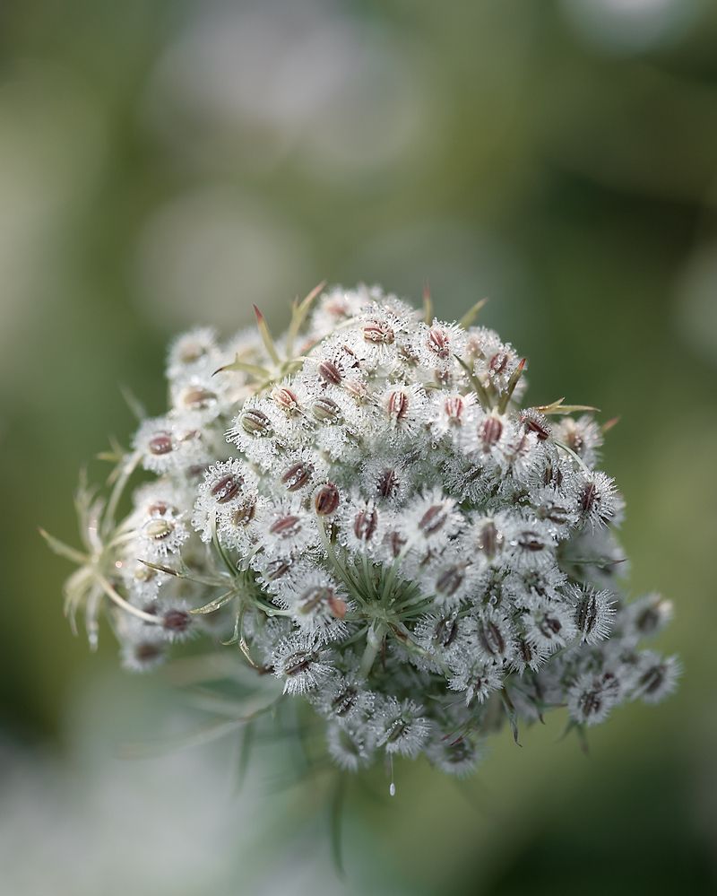 Фотография автора Наталья Филиппова