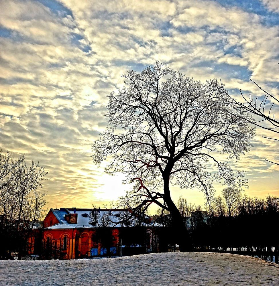 Photograph by Ольга Юрченко