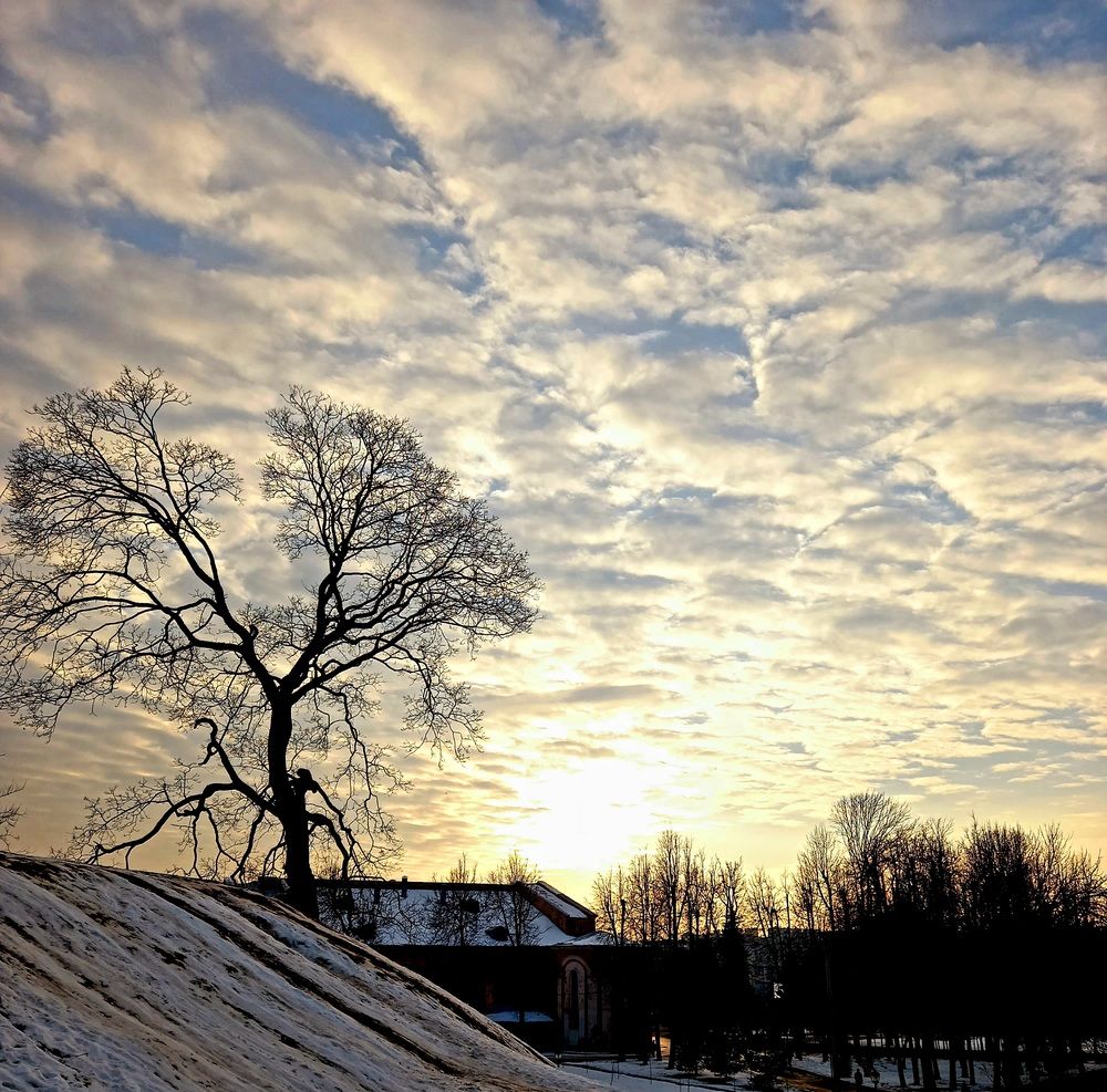 Photograph by Ольга Юрченко