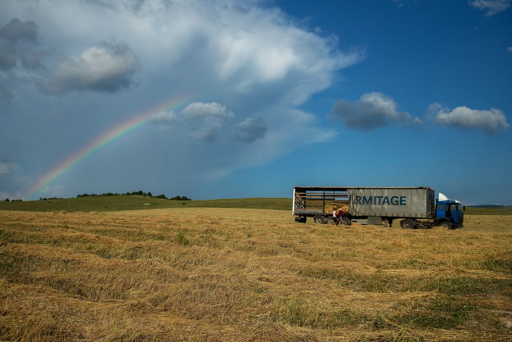 Полевые работы, Крым