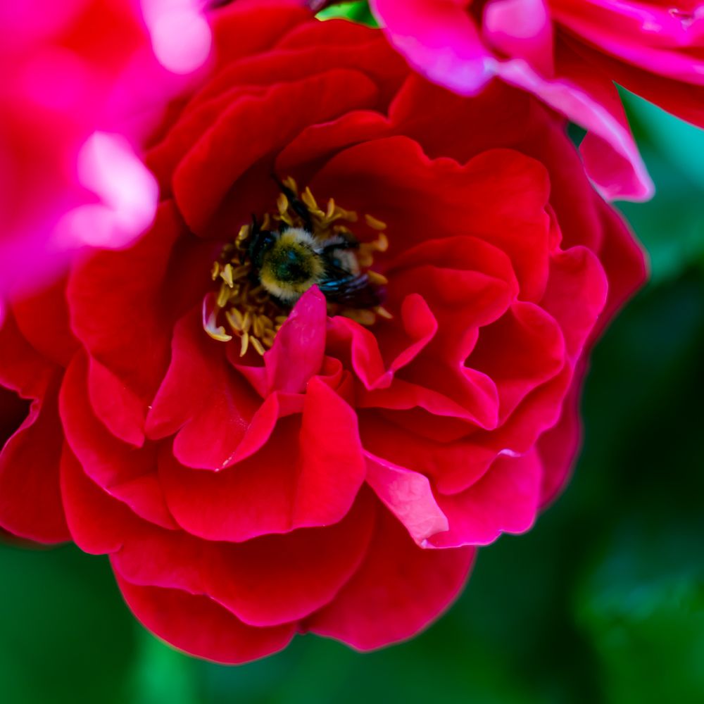 Photograph by Максим Фролов