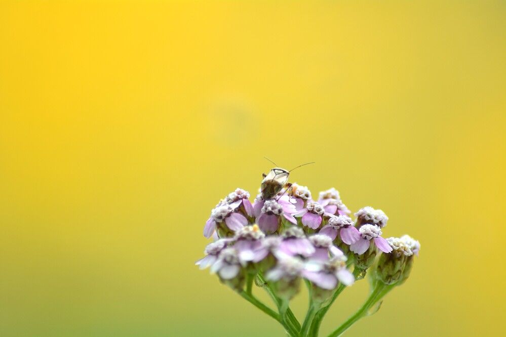 Photograph by София Бояринцева