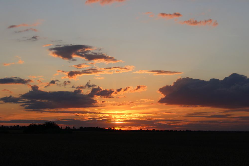 Photograph by Елена Коробченко