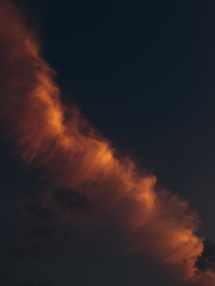 Photograph by Елена Михалева