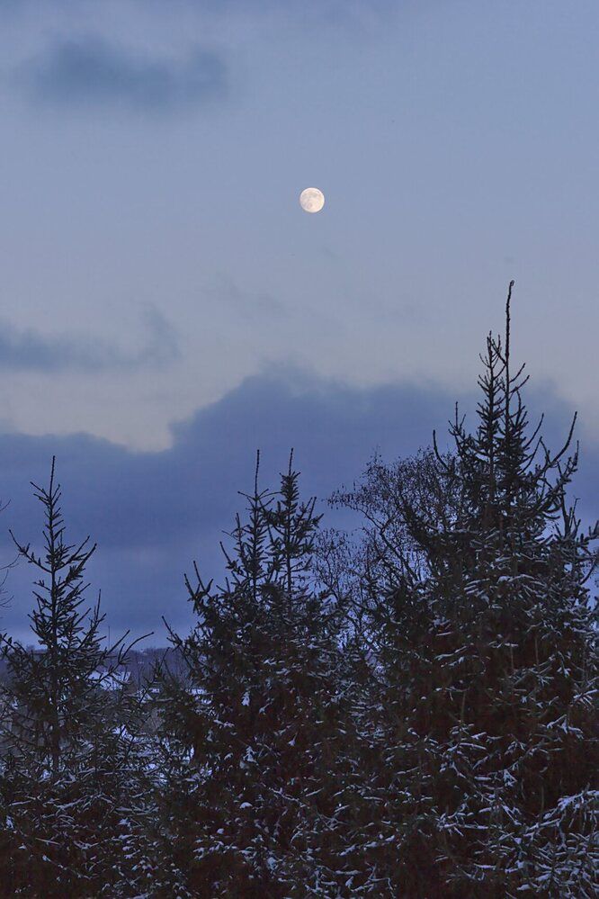 Photograph by Евгений Беленков