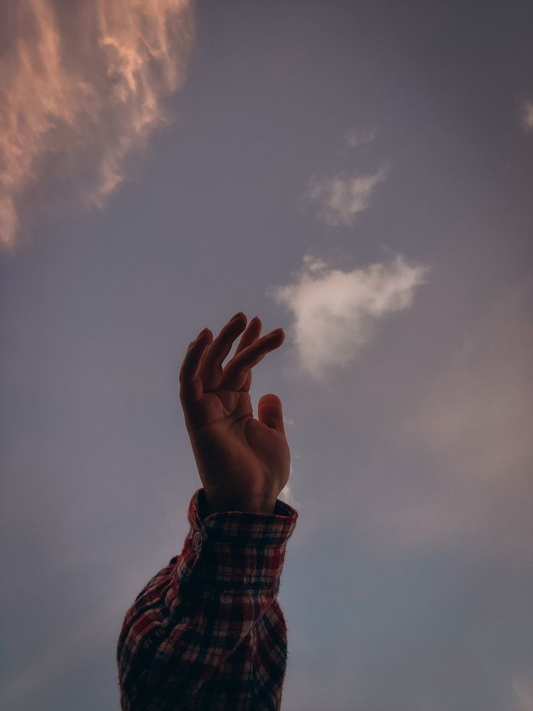 Photograph by Елена Михалева