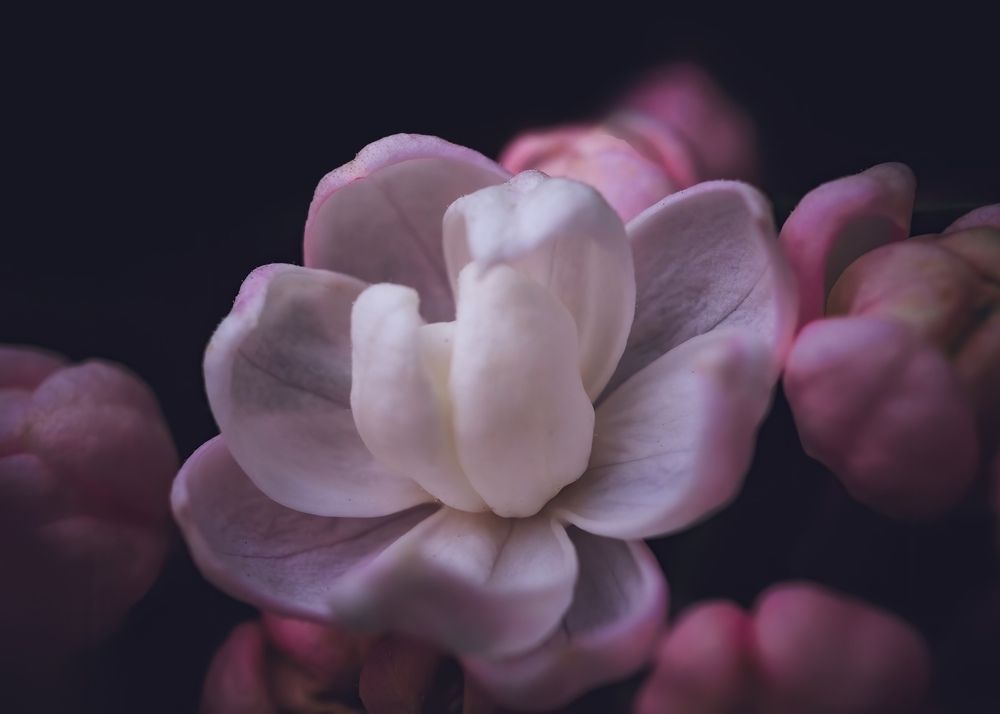 Photograph by Маргарита Смоленская