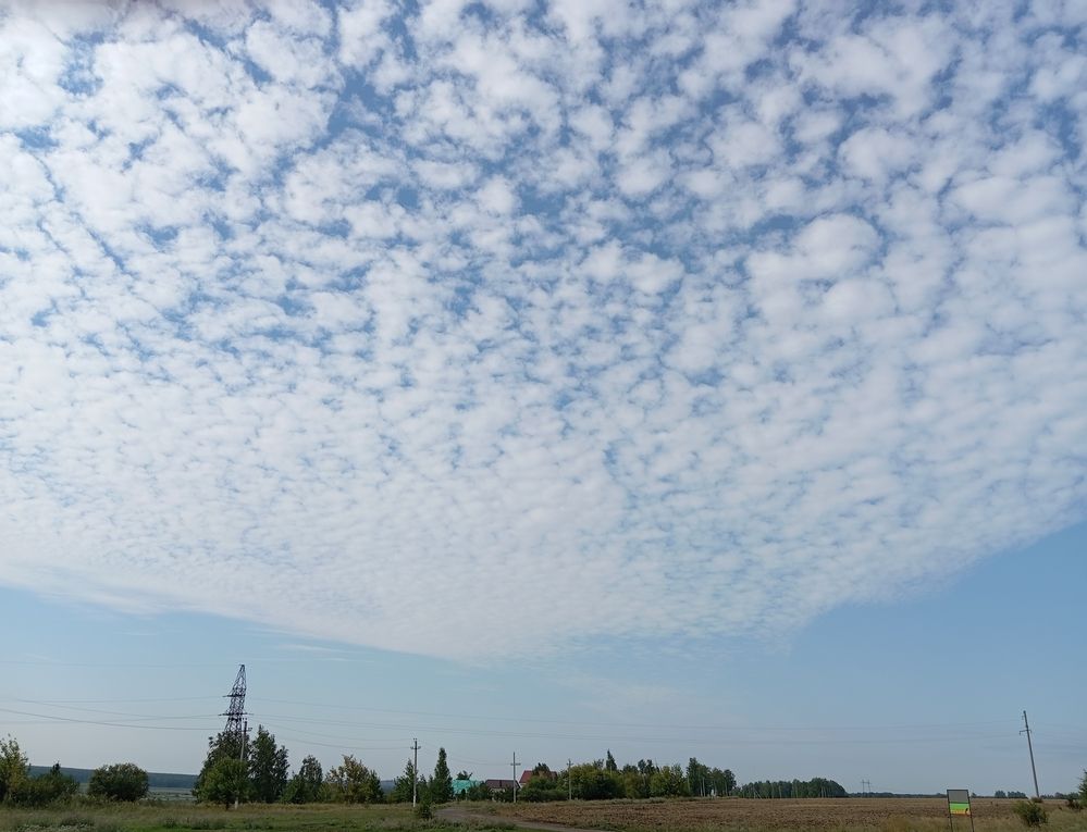 Photograph by Елена Коробченко