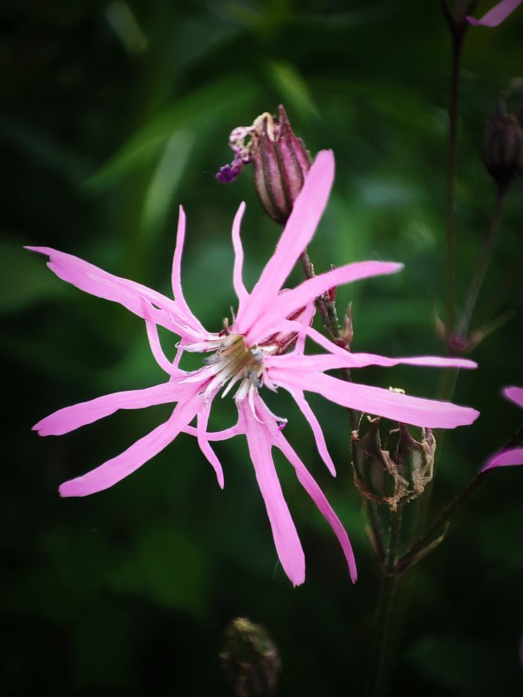 Photograph by Дмитрий Фетисов