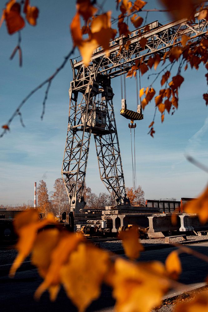 Фотография автора Лыткин Денис