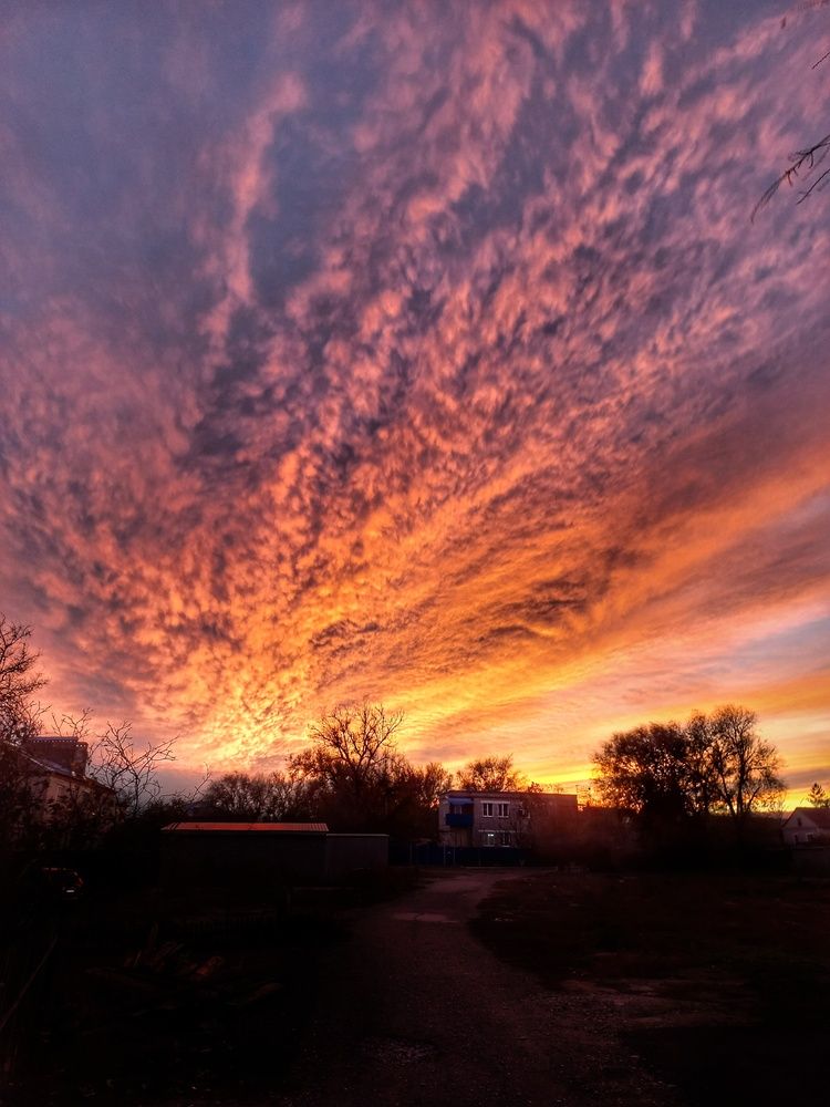 Photograph by OLGA MIKHNEVICH