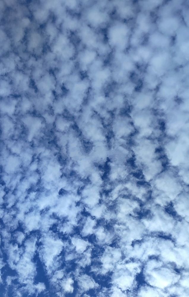 Photograph by Наталья Смирнова