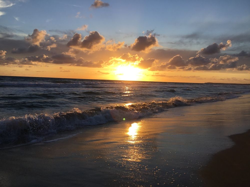 Photo #12501274