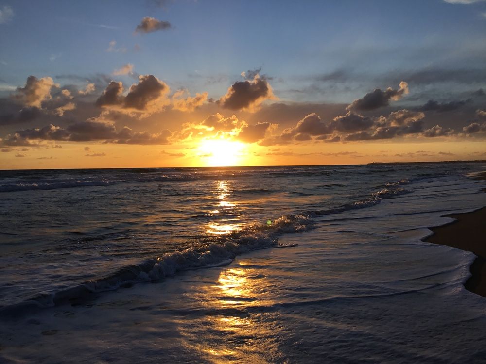 Photo #12501275