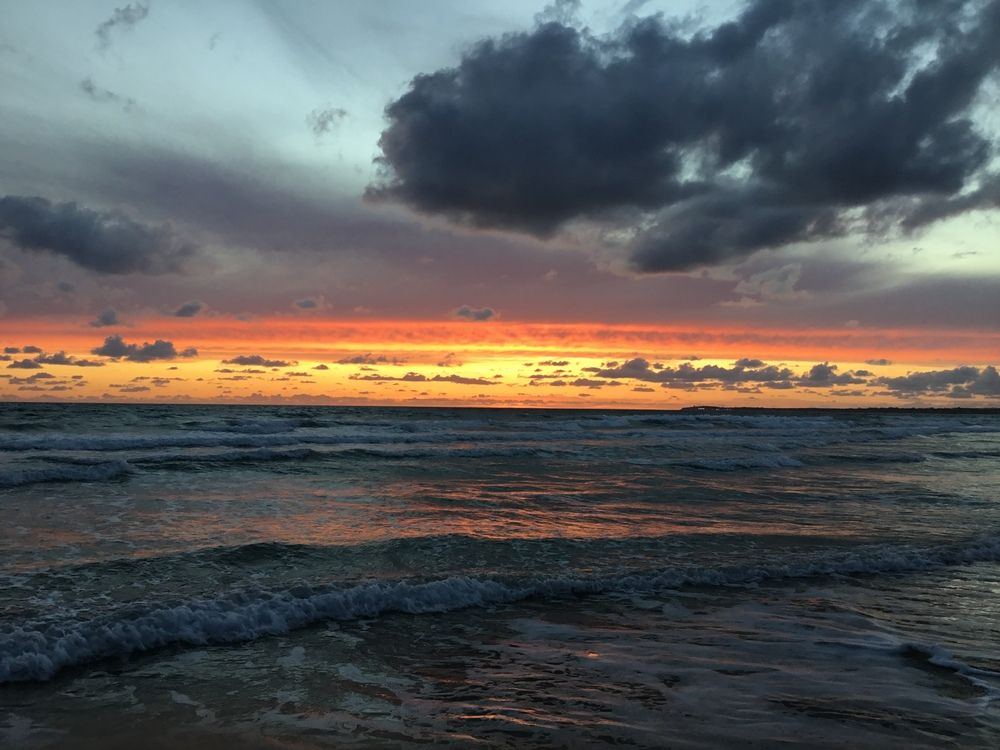 Photo #12501312