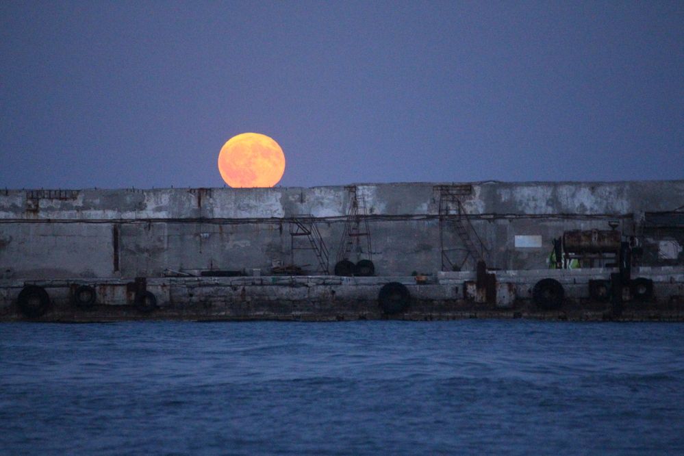 Photograph by Оксана Малахова