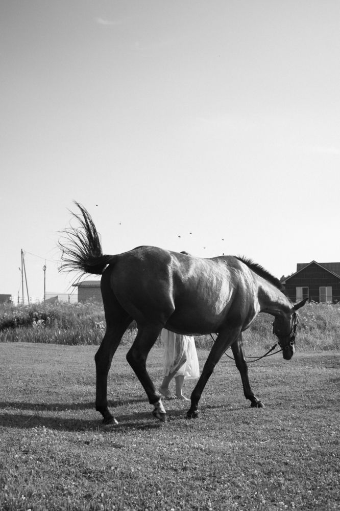 Photograph by Анна Форс