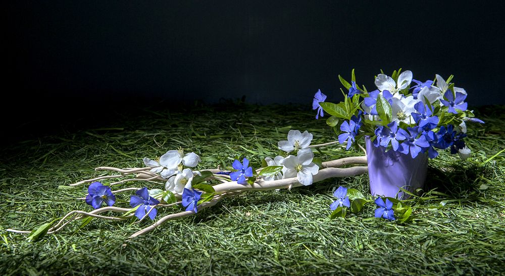 Photograph by Ольга Дядченко