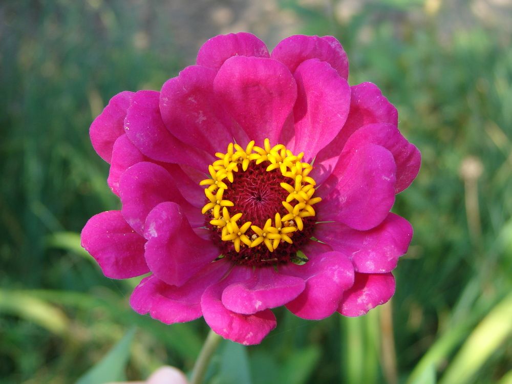 Photograph by Александр Гришин