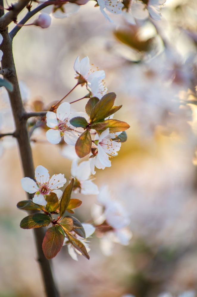 Photograph by Галина Григорьева