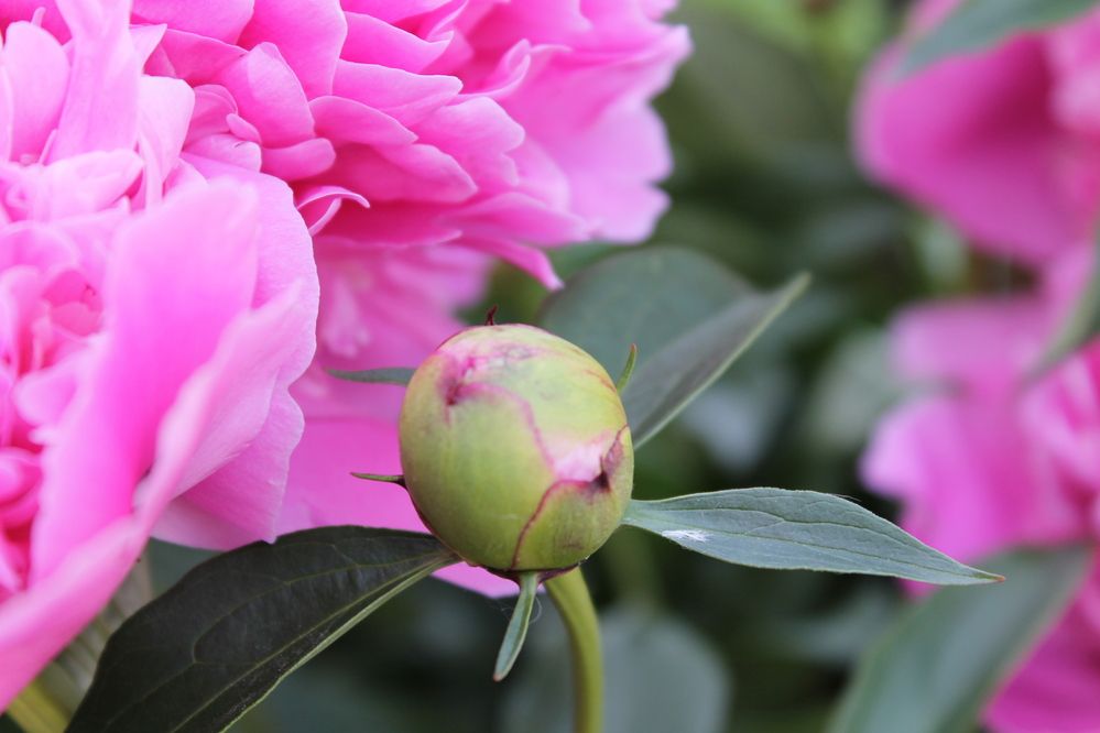 Photograph by Александр Гришин