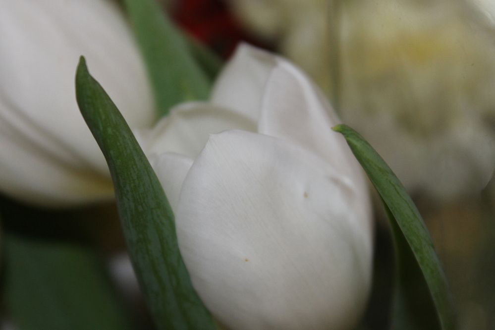 Photograph by Александр Гришин