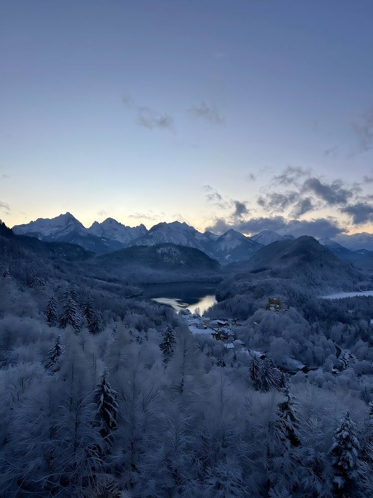 Frozen Silence