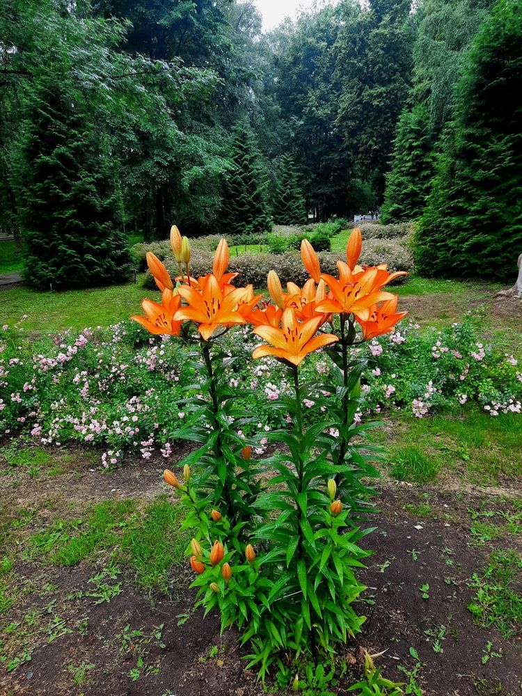 Photograph by Игорь