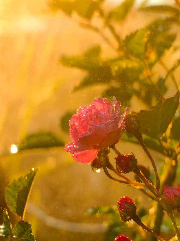 Photograph by Татьяна Емельянова